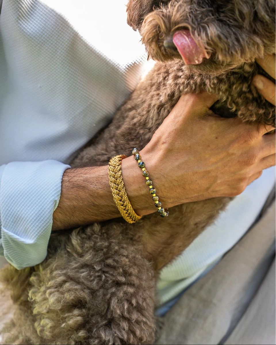 ZILIA Tiger Flame Men Mineral Bracelet