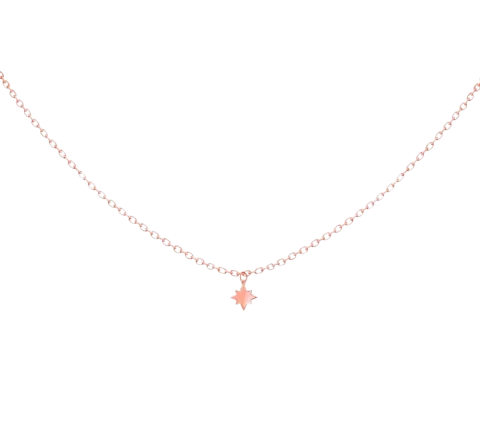ZILIA North Star Gold 14K Necklace