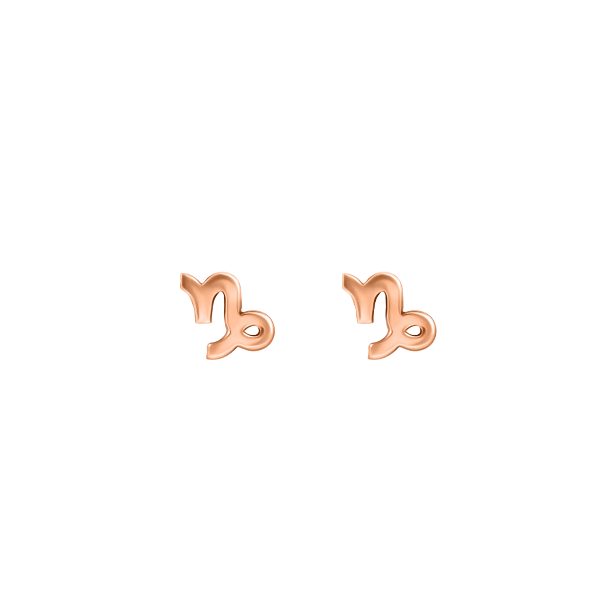 Horoscope Rose Gold 14k Earrings