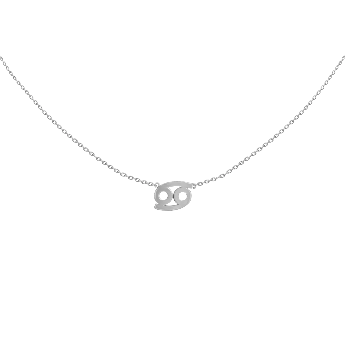 Horoscope Silver 925 Necklace