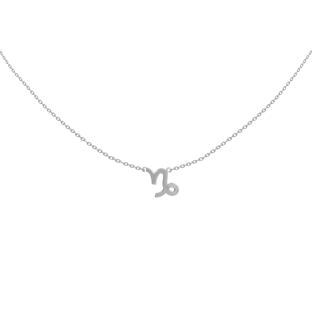 Horoscope Silver 925 Necklace