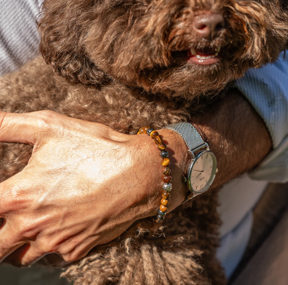 ZILIA Tiger's Eye Men 4 Silver 925 Bracelet